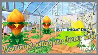 How to get setting sun flower seed | utopia origin | Hybridization part 4
