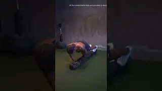6 Packs Attack - With "The Ab Guy" | Foam Roller Circuit | OFM #shorts