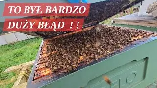THAT WAS A BIG MISTAKE! WHY DID I SELL THESE HIVES?! 