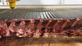 How does a spine work? | Fascinating Cross-Section