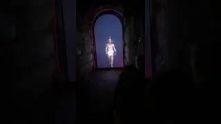 Colosseum - Underground Tour