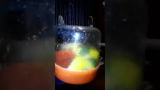 Купание попугая Кеши. Ч.2