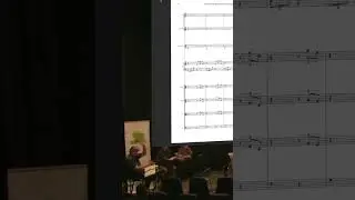Harp vs Pizzicato - ASA Challenge 2023