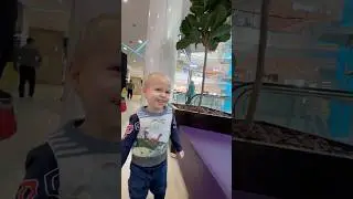 Реакция Владика на нельзя