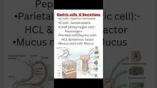 Gastric Cells & their secretions ||#gastriccells #secretions #norcet #exam  #anatomy #shorts #viral