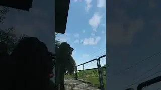 SCUM it's a bird 