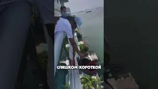 How did they manage to save a phone hanging over a cliff?! 