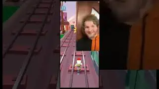@natural_albertovichи приют для животных