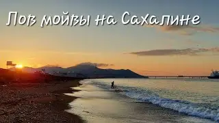 Рыбалка на Сахалине мойва (уёк) пошла на нерест #сахалин #рыбалка #природа