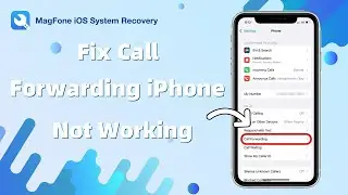 How to Fix Call Forwarding Not Working on iPhone | MagFone