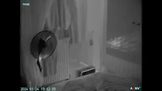 ADNV G14P2 Digital Night Vision first test