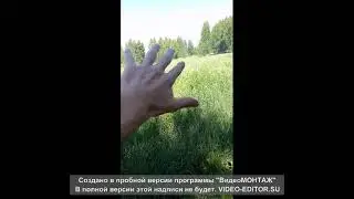 еду на разветку за тровой