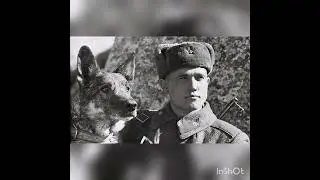 С ПРАЗДНИКОМ ДНЕМ ПОБЕДЫ!!!