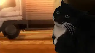 Maxwell the cat encounters the isekai truck