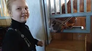 Дубрава КСК(24)