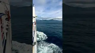 A view from Ship #viral #amazing #shorts #travel #trending #awesome #sea #seasick #waves #dangerous