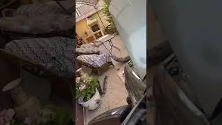Камрики