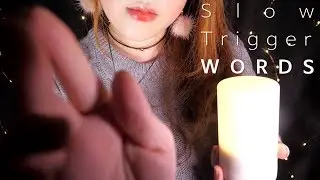 ASMR Slow 21 Trigger Words with Personal Attention 🌙