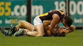 Round 16, 2014 - Drew Petrie and Brian Lake clash (Petrie reprimand, Lake 4 week suspension)