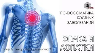 Психосоматика костей. ХОЛКА, ЛОПАТКИ