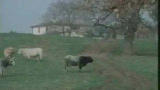 Bathman Dal Pianeta Eros (Intro)