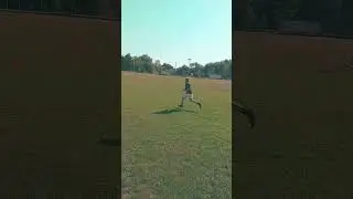#skills