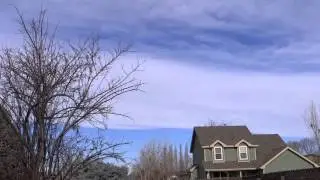 Afternoon Spray