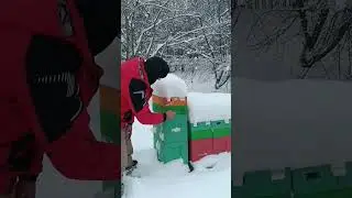 вентиляция для слабых пчеласемей.