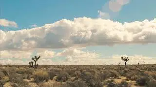 josh pan & Dylan Brady - My Own Behavior