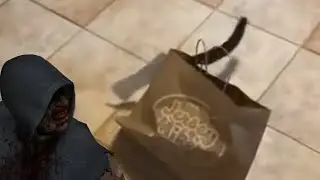Left 4 Dead Cat 4