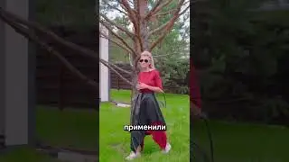 Дом ЛАКЕ  - ярко и необычно 🌞 #плотникофф #стройка #построитьдом