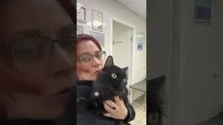 Очень переживаю за свою кошку 😭
