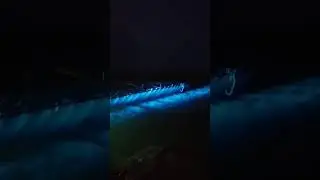 Туман 3