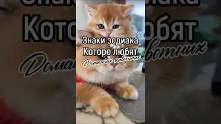 Знаки зодиака, которые любят животных 😻