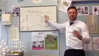 Reflex arcs