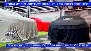ולוג: שני BYD נכנסו לאודיבה ארט, הן לא יצאו אותו הדבר...