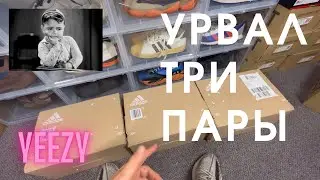 Урвал Три Пары Yeezy от Adidas