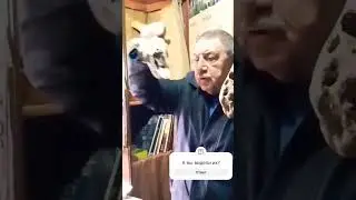 ИНОПЛАНЕТЯНЕ - ИНСЕКТОИДЫ?😱   