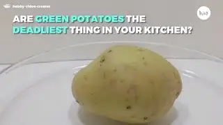 Are Green Potatoes The Deadliest Thing In Your Kitchen?
