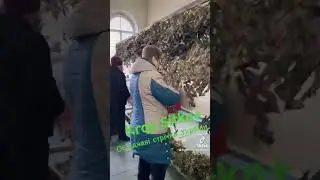 Маскувальні сітки плетемо для захисників.