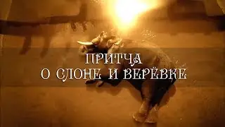 Притча о слоне и верёвке