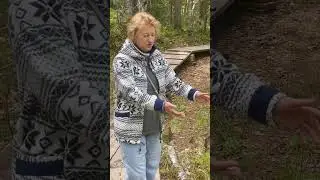 Куртяево , журчат ручьи , Святой источник у Белого моря