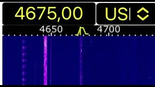 4675 polyphonic 10.10.2023