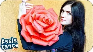 Как сделать ГИГАНТСКИЕ РОЗЫ из БУМАГИ / DIY ДОМА СВОИМИ РУКАМИ