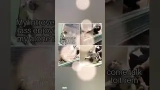 The Funniest Memes on YouTube | Funny Memes 2023