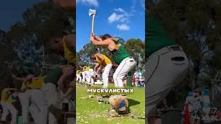 Парень хитро переиграл ЛЕСОРУБОВ 😎🪓🌲