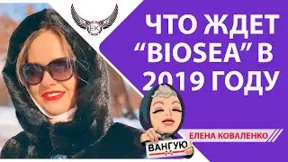 Что ждет Биоси в 2019 году? Запись Прямого эфира. | #BIOSEA