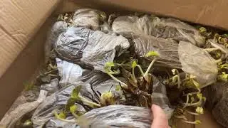 Получили первую часть фриго👍💃🕺🪩