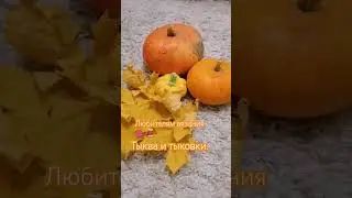 Вяжите девушки цветы и тыквы, и носки🧶🧵#связатьтыкву #рукоделие #казань #вяжунаспицах