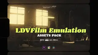 LDV FILM EMULATION | ASSETS PACK